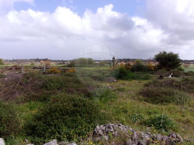 Terreno venda em Morros, Figueira Da Foz