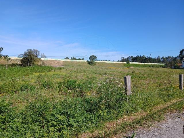 Terreno venda em Lafrana de Baixo, Figueira Da Foz