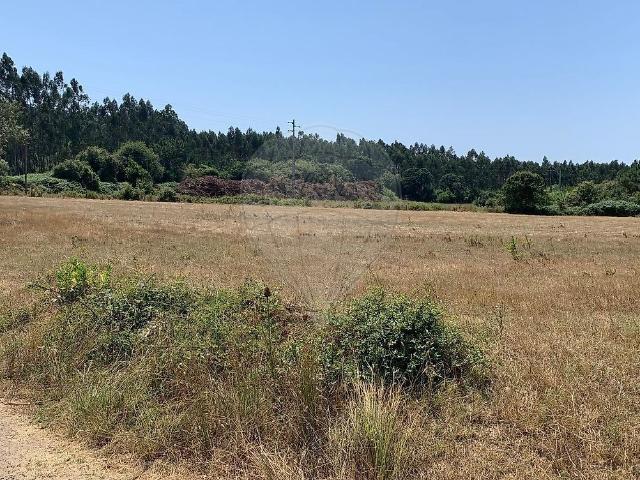 Terreno venda em Figueira Da Foz, Coimbra
