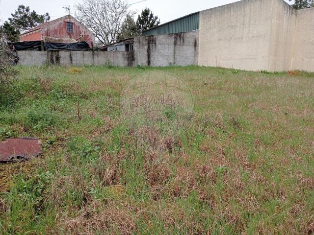 Terreno venda em Alhadas de Baixo, Figueira Da Foz