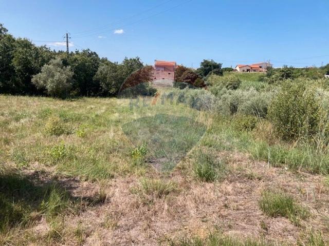 Terreno venda em Feteira de Cima, Figueira Da Foz