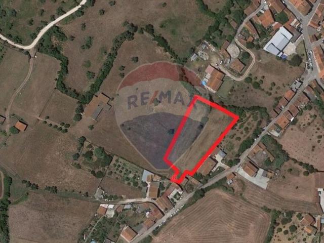 Terreno venda em Figueira Da Foz, Coimbra