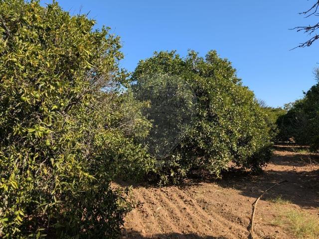 Terreno venda em Vale Toiro, Castro Marim