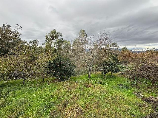 Terreno venda em Pedreira, Amares