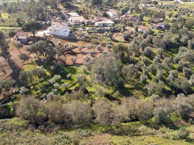 Terreno venda em Tomar, Santarém