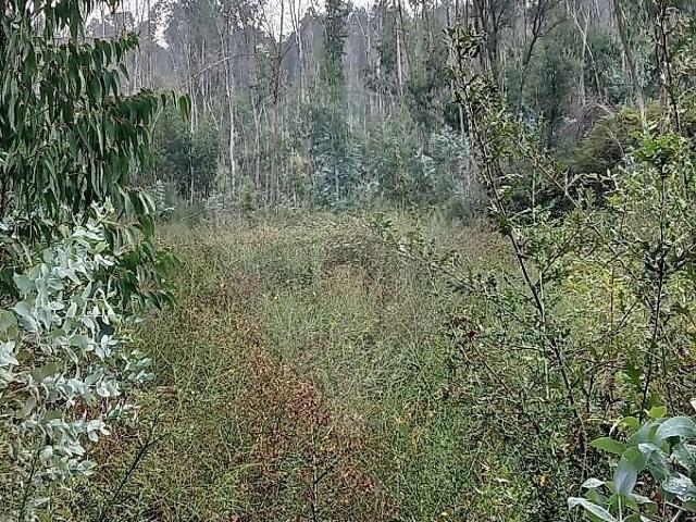 Terreno venda em Fonte Arcada e Oliveira, Póvoa de Lanhoso