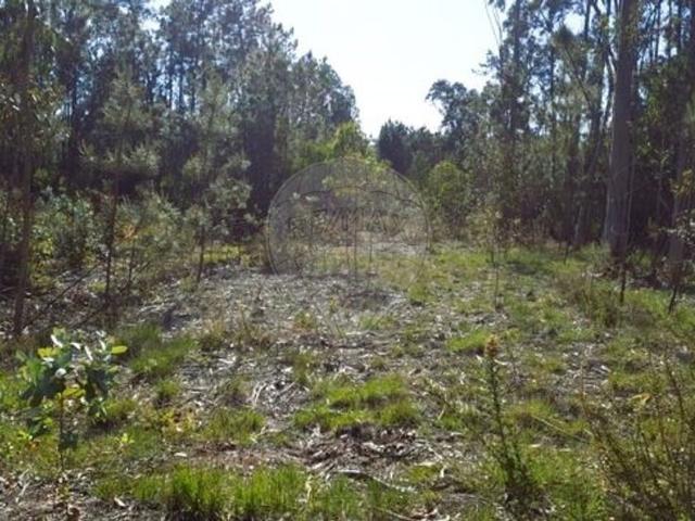 Terreno venda em Ponte De Vagos, Aveiro