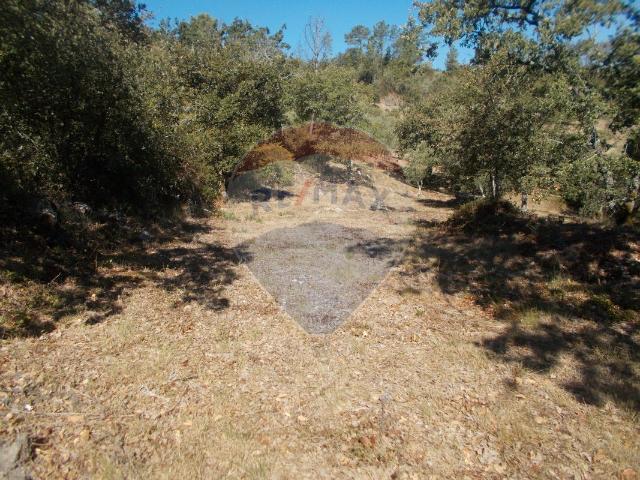Terreno venda em Fonte dos Marcos, Porto De Mós