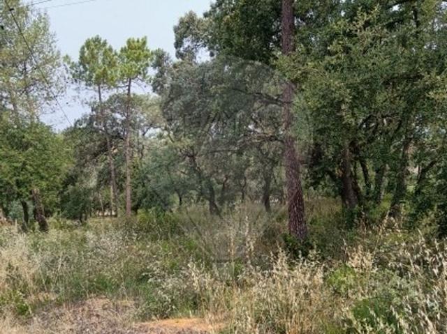 Terreno venda em Tomar, Santarém