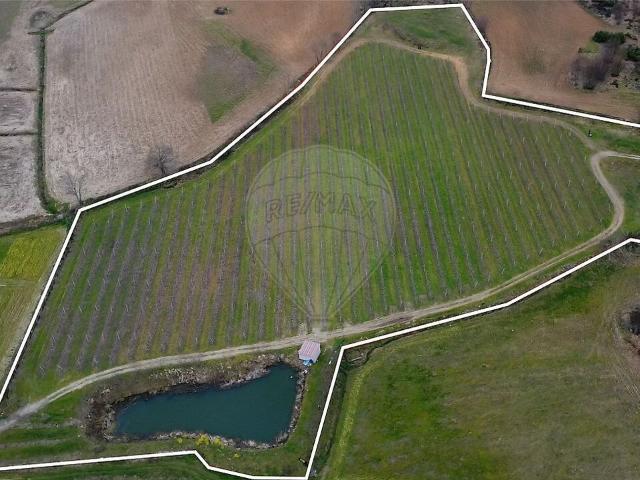 Terreno venda em Fonte Longa, Carrazeda de Ansiães