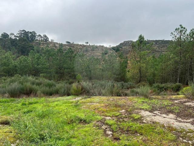 Terreno venda em Guarda, Fornos De Algodres