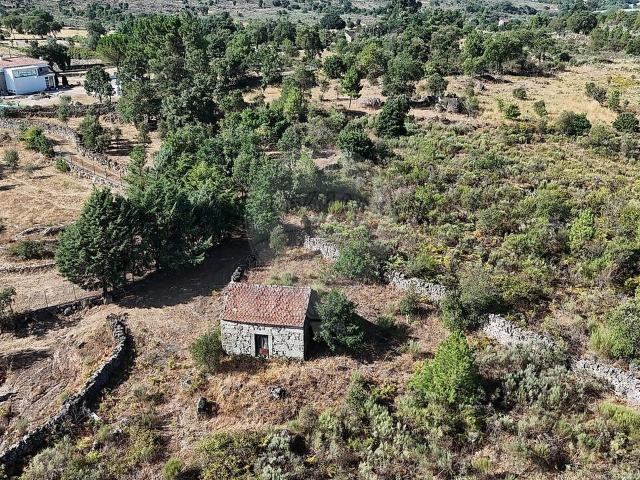 Terreno venda em Fornos de Algodres, Guarda