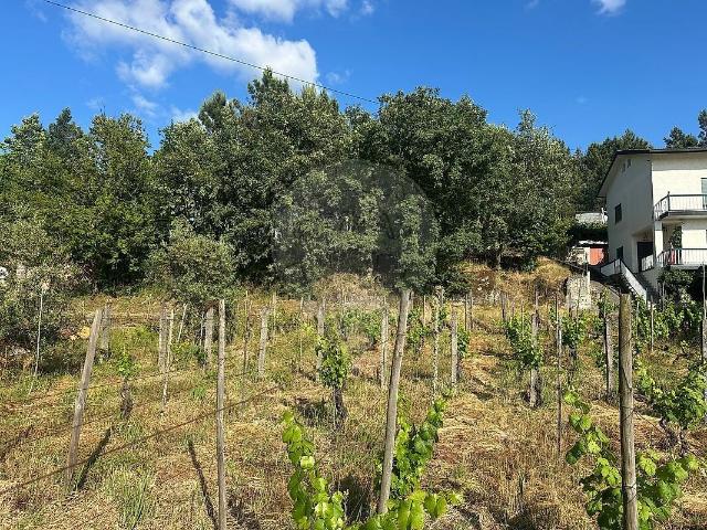 Terreno venda em Fornos de Maceira Dão, Mangualde