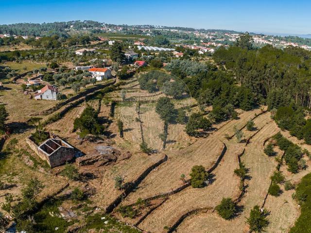 Terreno venda em Fornos de Maceira Dão, Mangualde