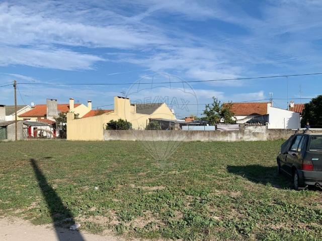 Terreno venda em Coruche, Santarém