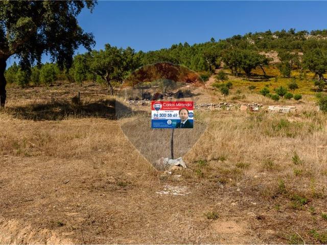 Terreno venda em Portalegre