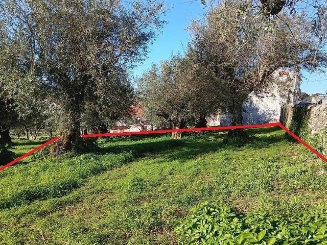Terreno venda em Reguengo e São Julião, Portalegre