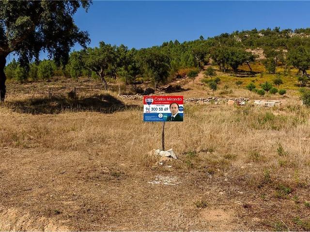 Terreno venda em Fortios, Portalegre