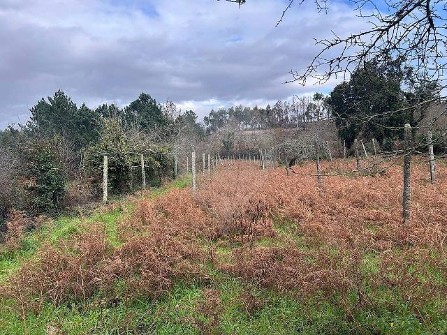 Terreno venda em Foz do Sousa e Covelo, Gondomar