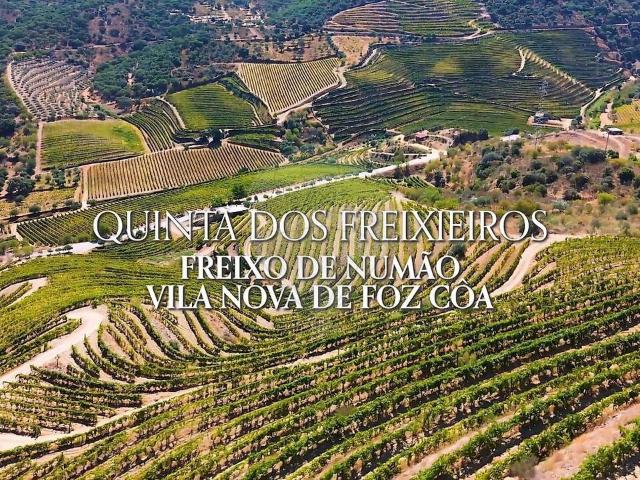 Terreno venda em Vila Nova de Foz Côa