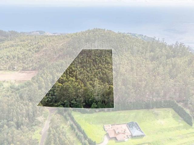 Terreno venda em Funchal, Ilha Da Madeira