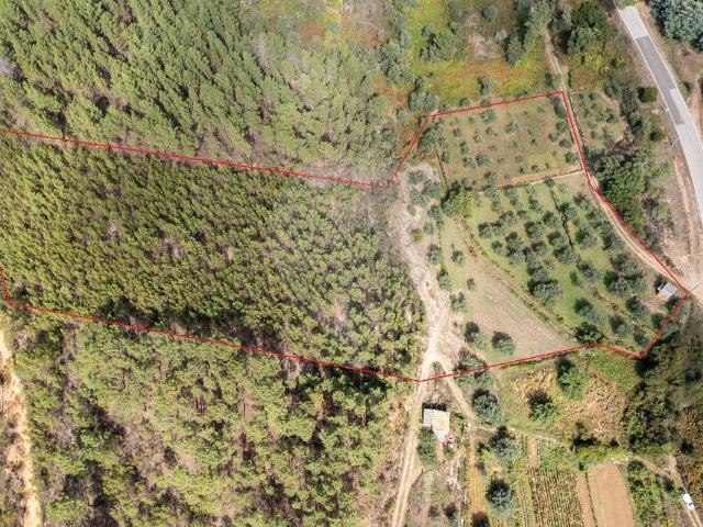 Terreno venda em Castelo Branco, Aldeia Nova Do Cabo