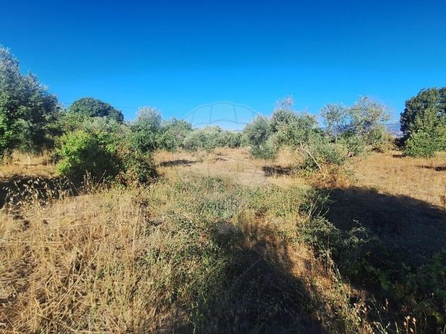 Terreno venda em Castelo Branco, Aldeia Nova Do Cabo