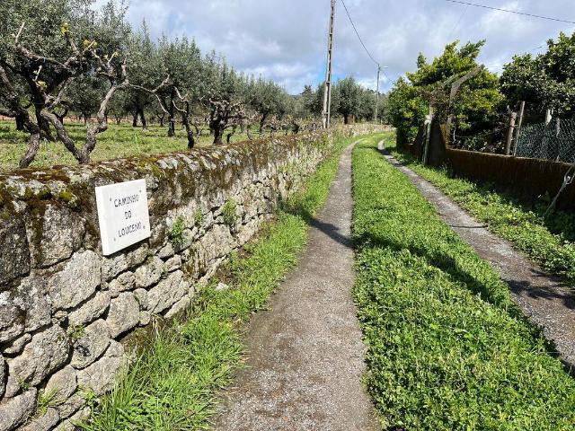 Terreno venda em Castelo Branco, Aldeia Nova Do Cabo