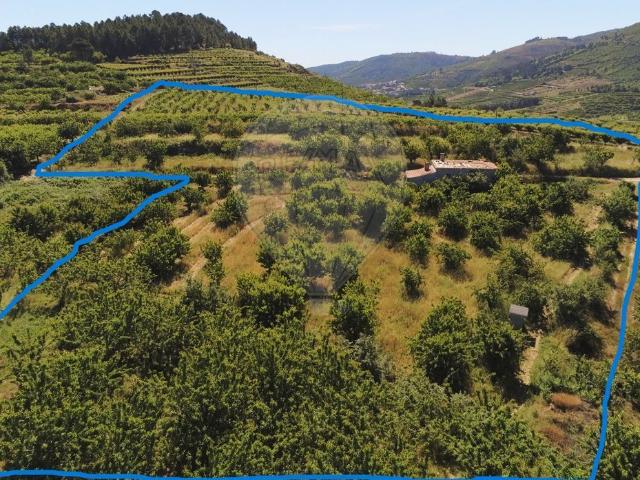 Terreno venda em Castelo Branco, Aldeia Nova Do Cabo