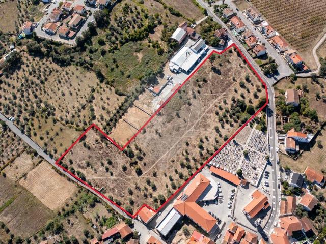 Terreno venda em Castelo Branco, Aldeia Nova Do Cabo