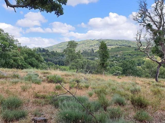 Terreno venda em Telhado, Fundão