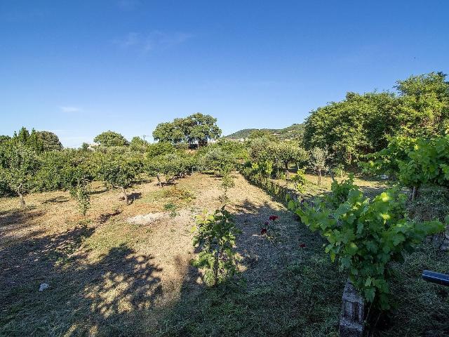 Terreno venda em Telhado, Fundão