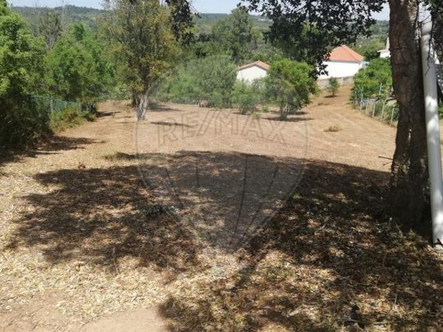 Terreno venda em Torres Novas, Santarém