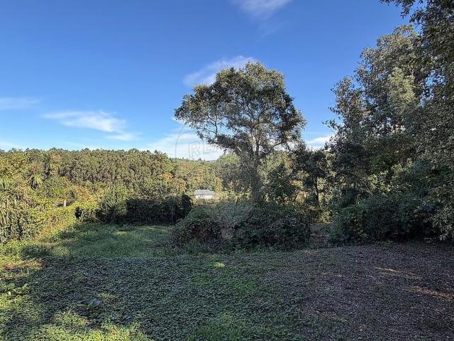 Terreno venda em Galegos (São Martinho), Barcelos