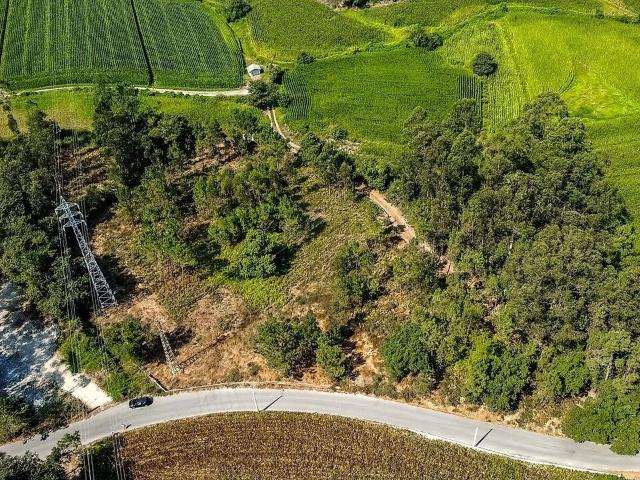 Terreno venda em Galegos (Santa Maria), Barcelos