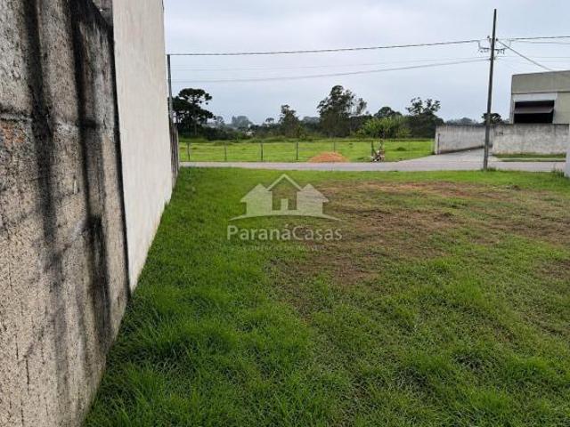 Terreno venda em Região Geográfica Imediata de Curitiba, Região Metropolitana de Curitiba