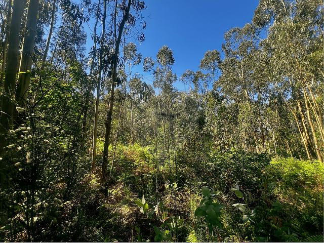 Terreno venda em Ganfei, Valença