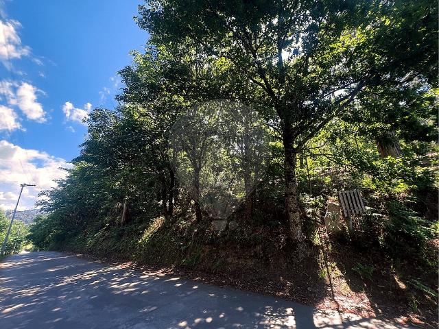 Terreno venda em Ganfei, Valença