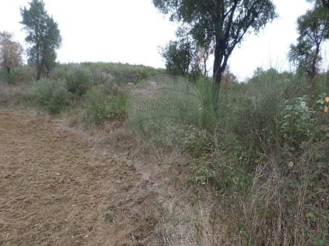 Terreno venda em Monte do Covão do Pereiro, Gavião