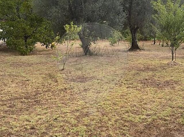 Terreno venda em Prado (São Miguel), Vila Verde
