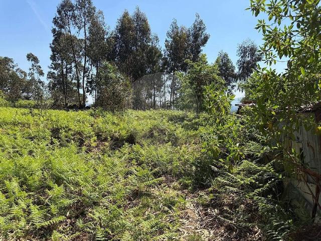 Terreno venda em Prado (São Miguel), Vila Verde
