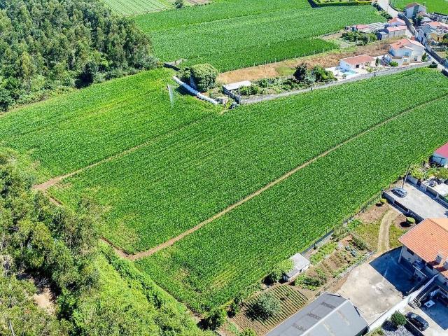 Terreno venda em Gião, Vila do Conde