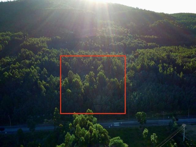 Terreno venda em Góis, Coimbra