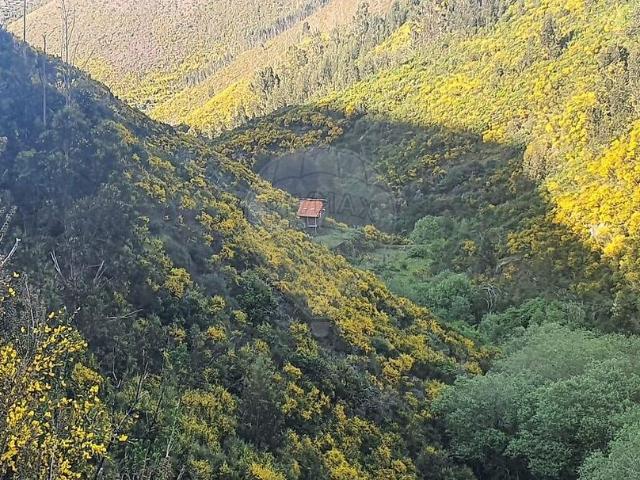 Terreno venda em Foz da Cova, Góis