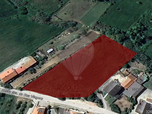 Terreno venda em Golpilheira, Batalha