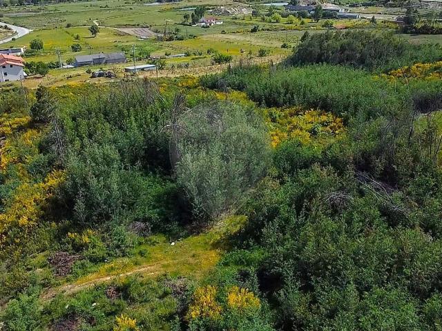 Terreno venda em Gonçalo, Guarda
