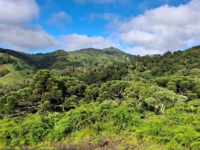 Terreno venda em Costas, Paraisópolis