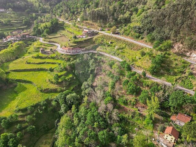 Terreno venda em Bustelo, Carneiro e Carvalho de Rei, Amarante