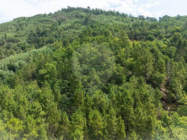 Terreno venda em Gondar, Amarante
