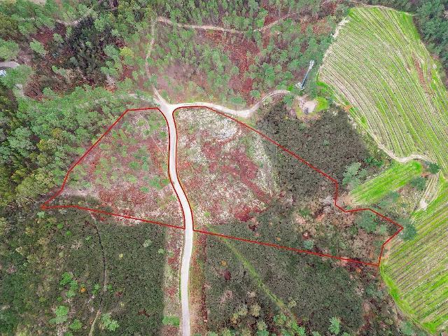 Terreno venda em Gondar, Amarante